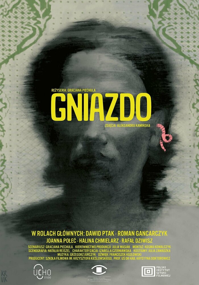 Gniazdo