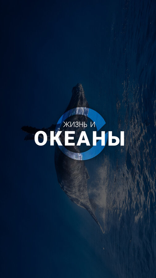Жизнь и Океаны