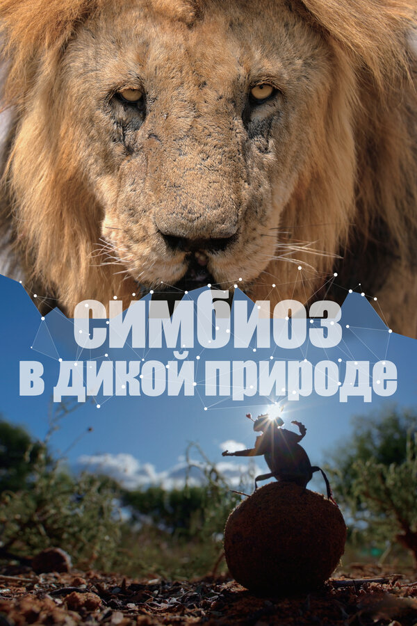 Симбиоз в дикой природе (2023) 