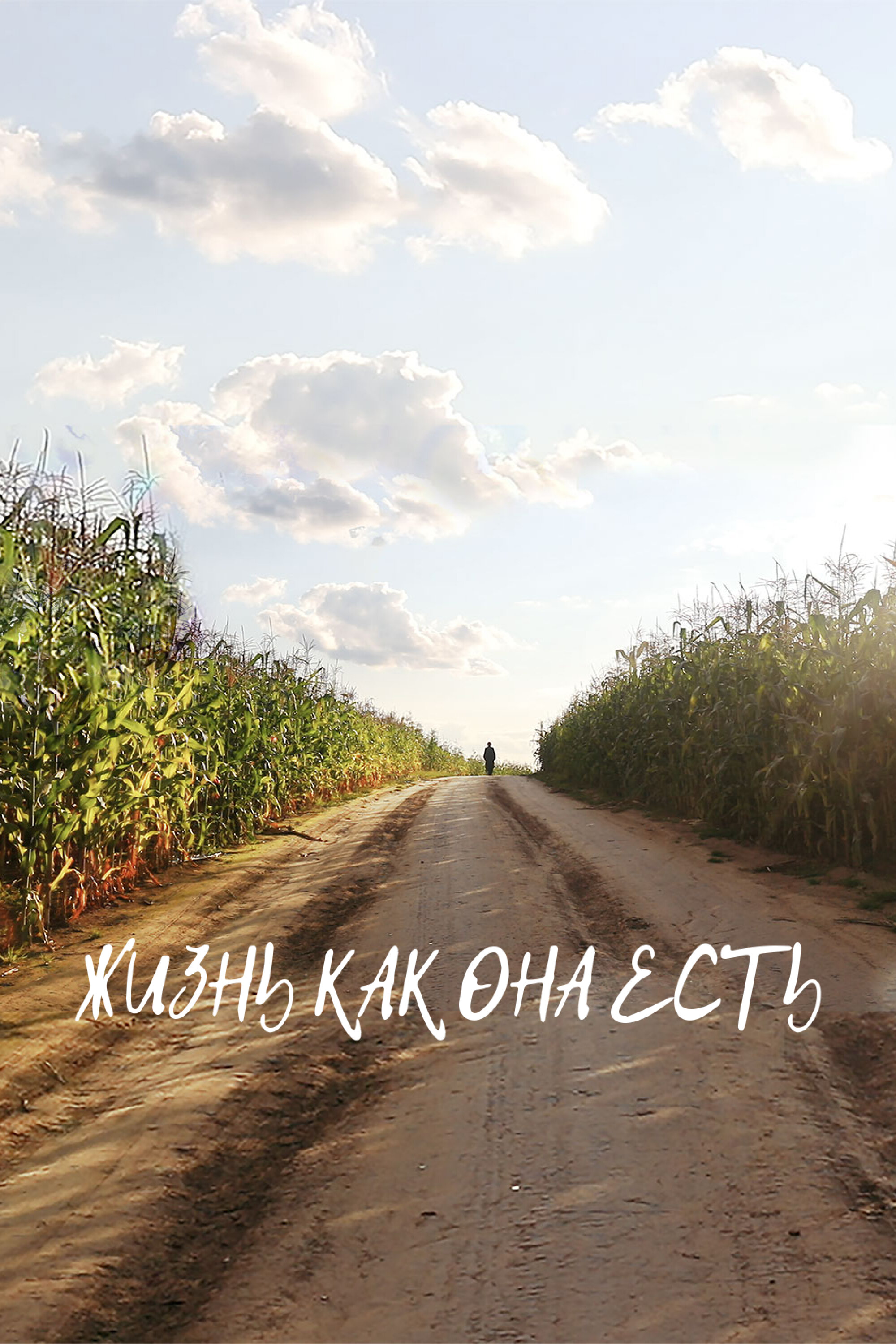 Жизнь как она есть