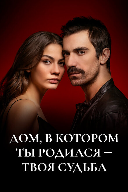 Сериал «Дом, в котором ты родился - твоя судьба»