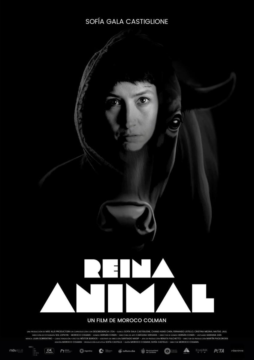 Reina Animal
