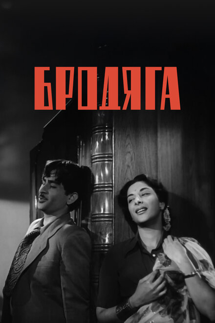  Бродяга 