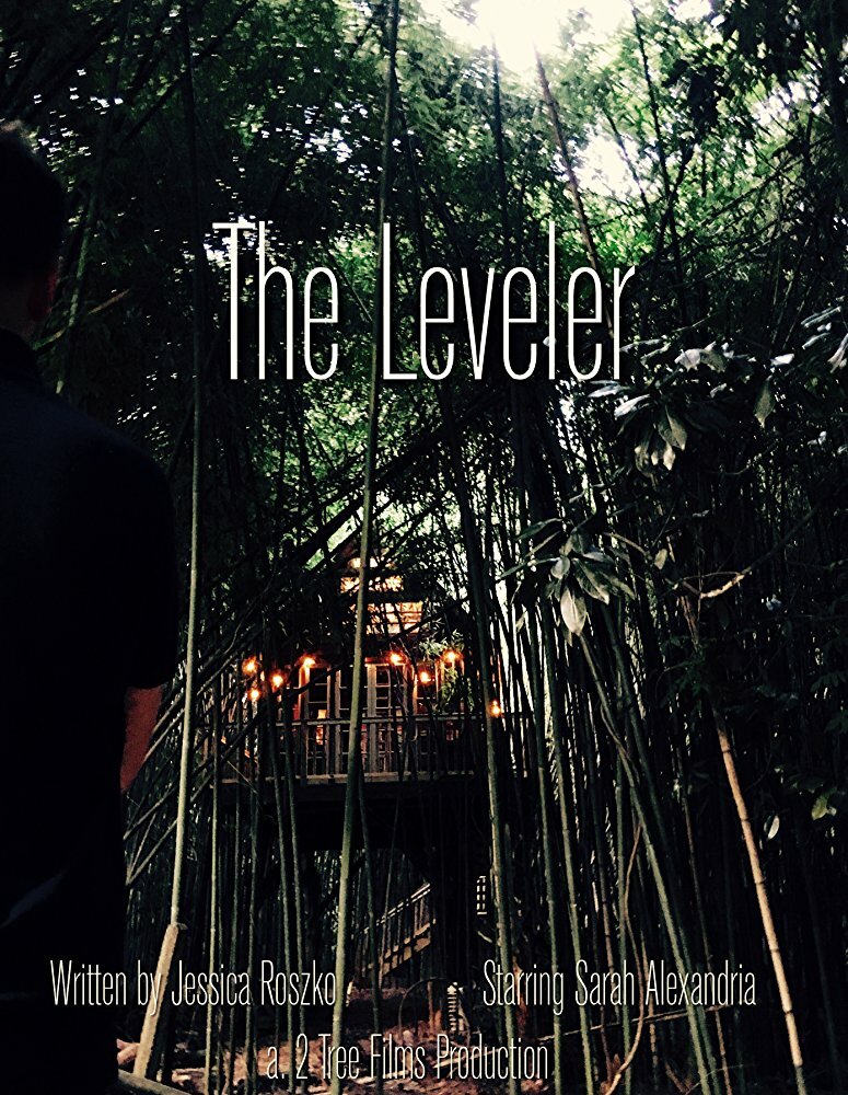The Leveler