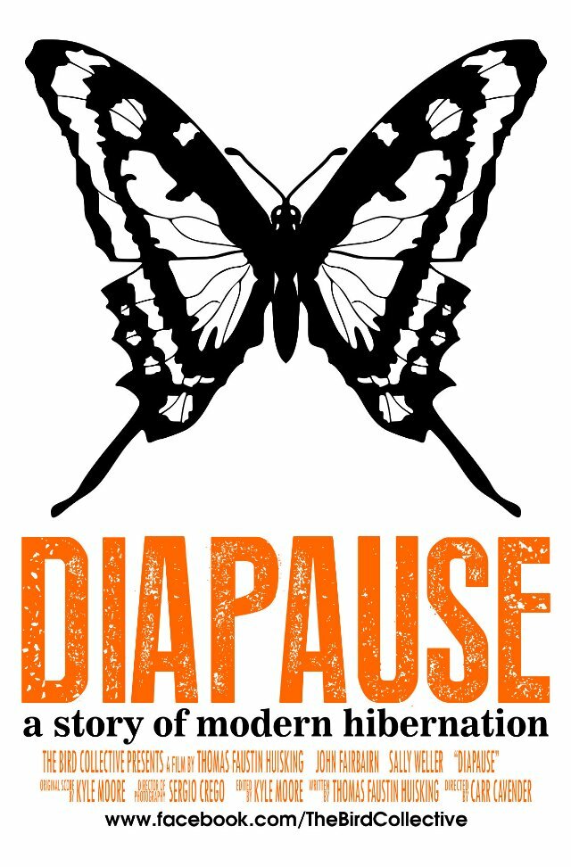Diapause