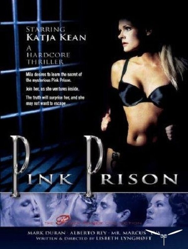 Смотреть фильм Розовая тюрьма 1999 года онлайн