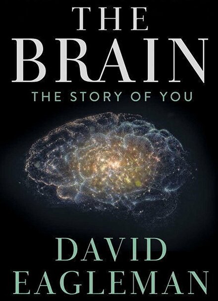 документальные фильмы про дежавю - The Brain with David Eagleman