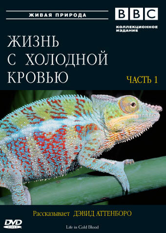 документальные фильмы про ящериц - Жизнь с холодной кровью