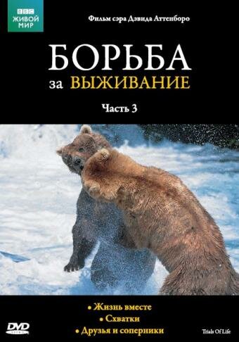 BBC: Борьба за выживание (1990) 