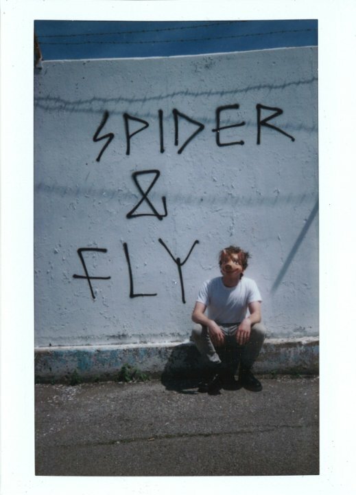 Spider & Fly