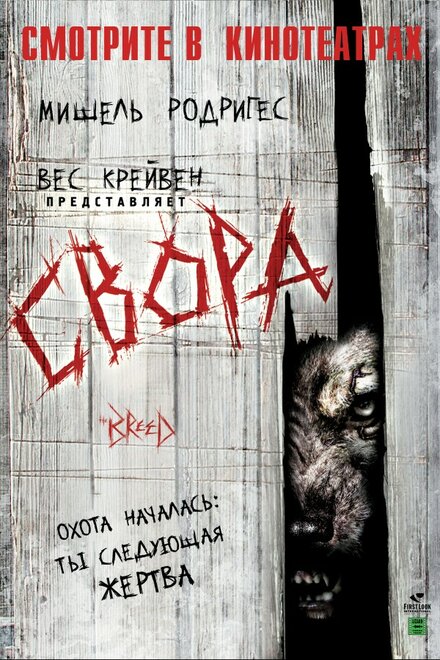 Фильм «Свора»