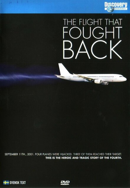 films about a plane crash - The Flight That Fought Back