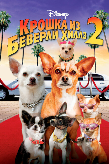 Фильм «Крошка из Беверли-Хиллз 2»