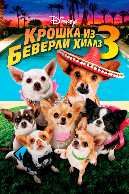 Фильм «Крошка из Беверли-Хиллз 3»