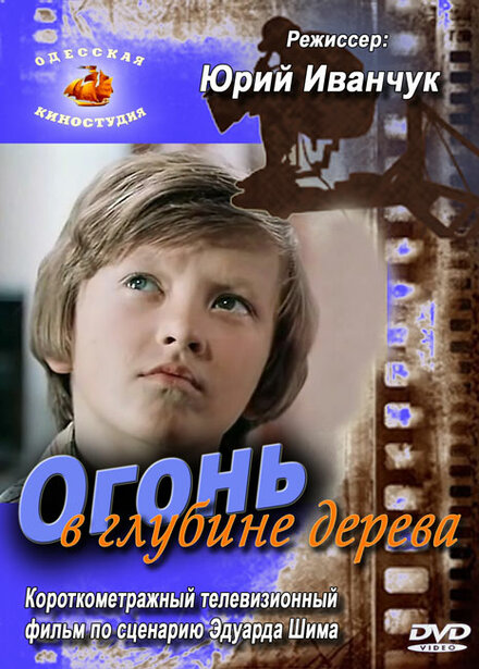 Фильм «Огонь в глубине дерева»