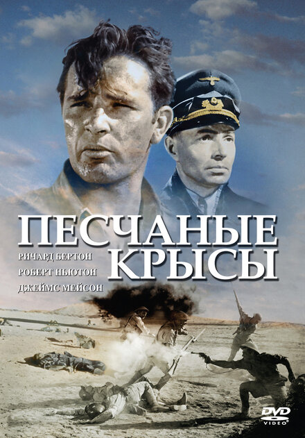 Крысы пустыни (1953)