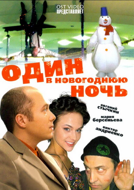 Фильм «Один в новогоднюю ночь»