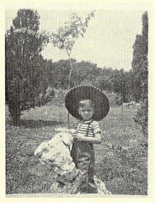 Fly Like a Bumblebee