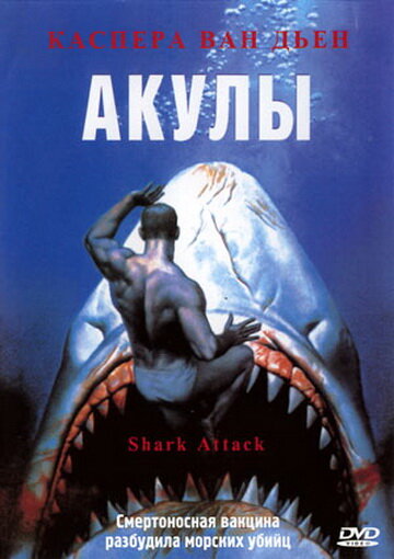 Фильм «Акулы»