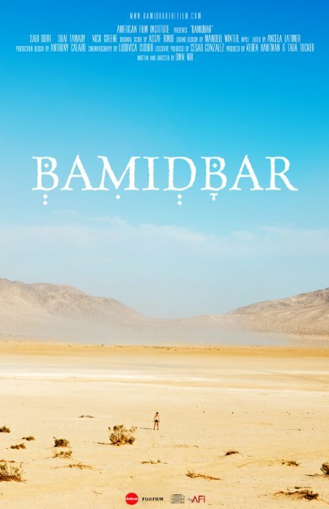 Постер к фильму Bamidbar (2014)
