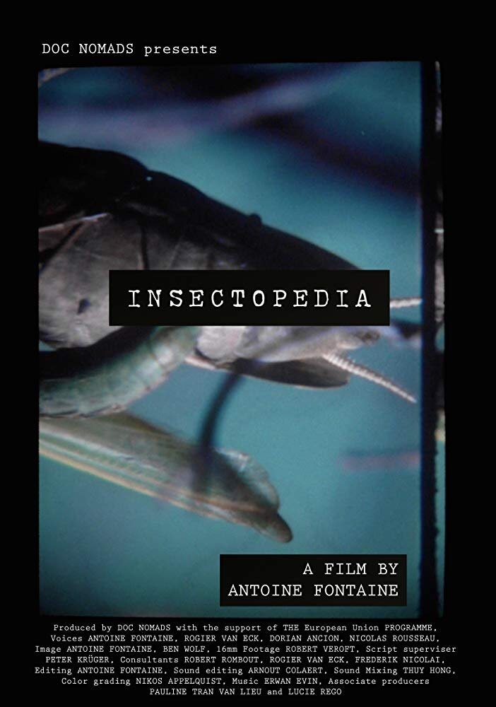 Insectopedia