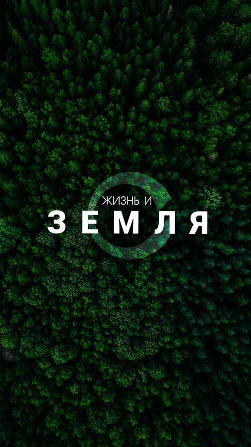 Жизнь и Земля