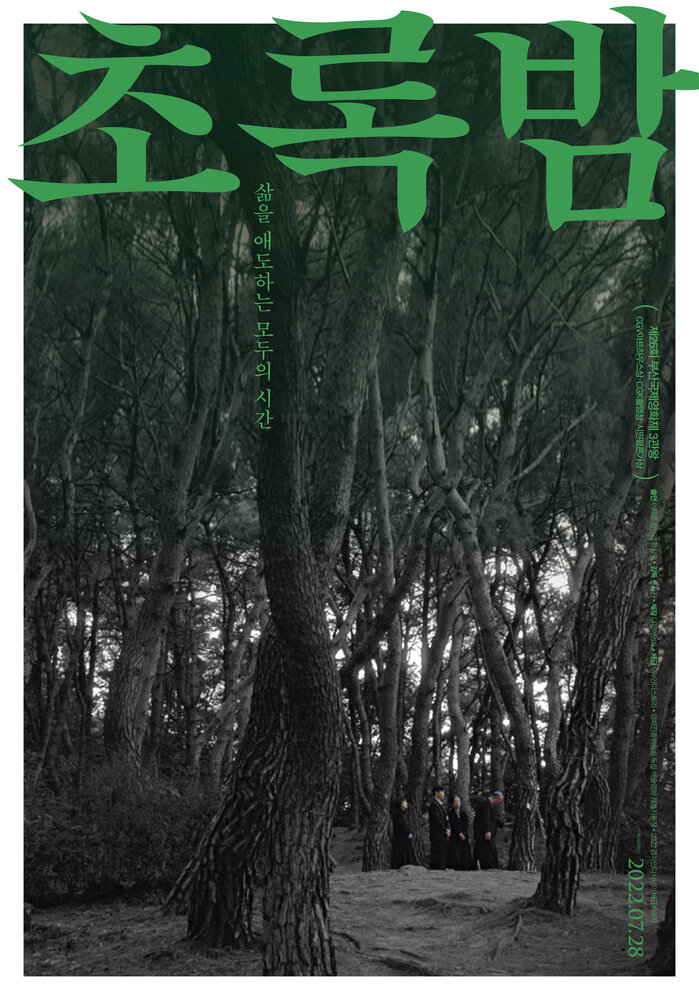 Зелёная ночь