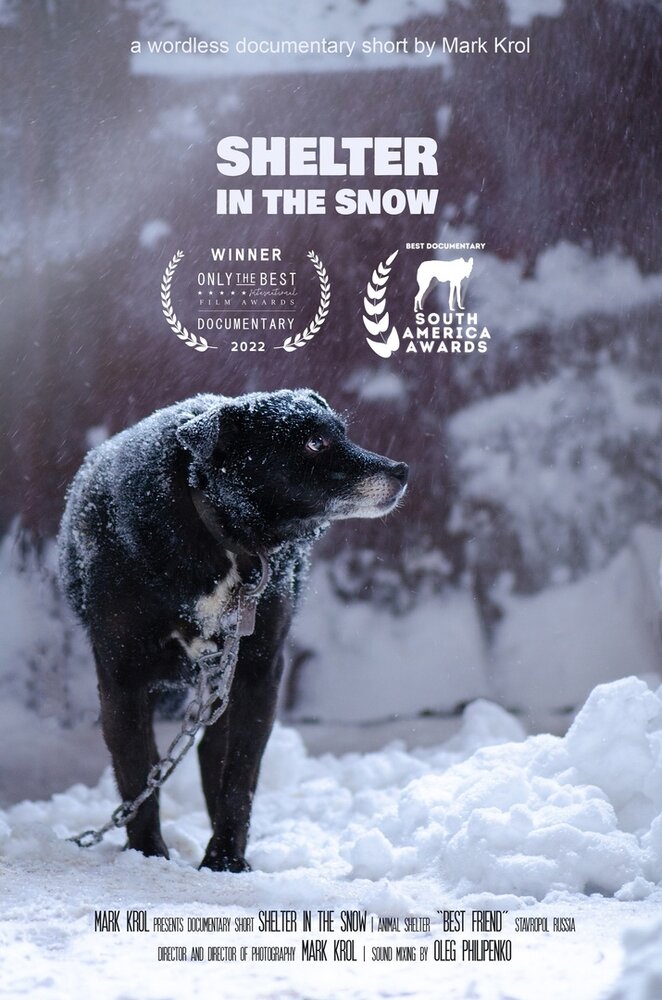 Приют в снегу