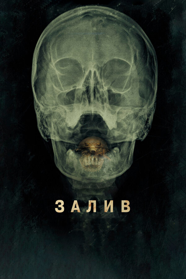  Залив 
