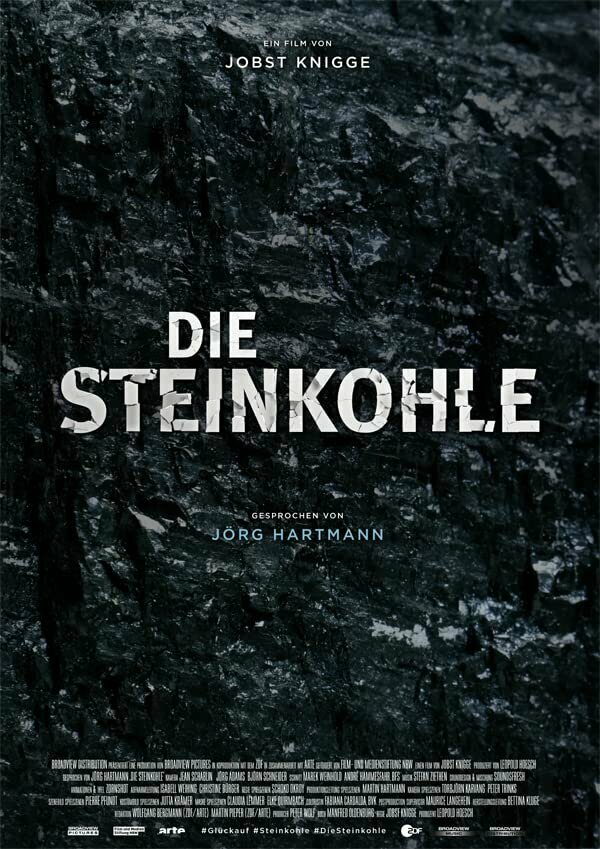 Die Steinkohle