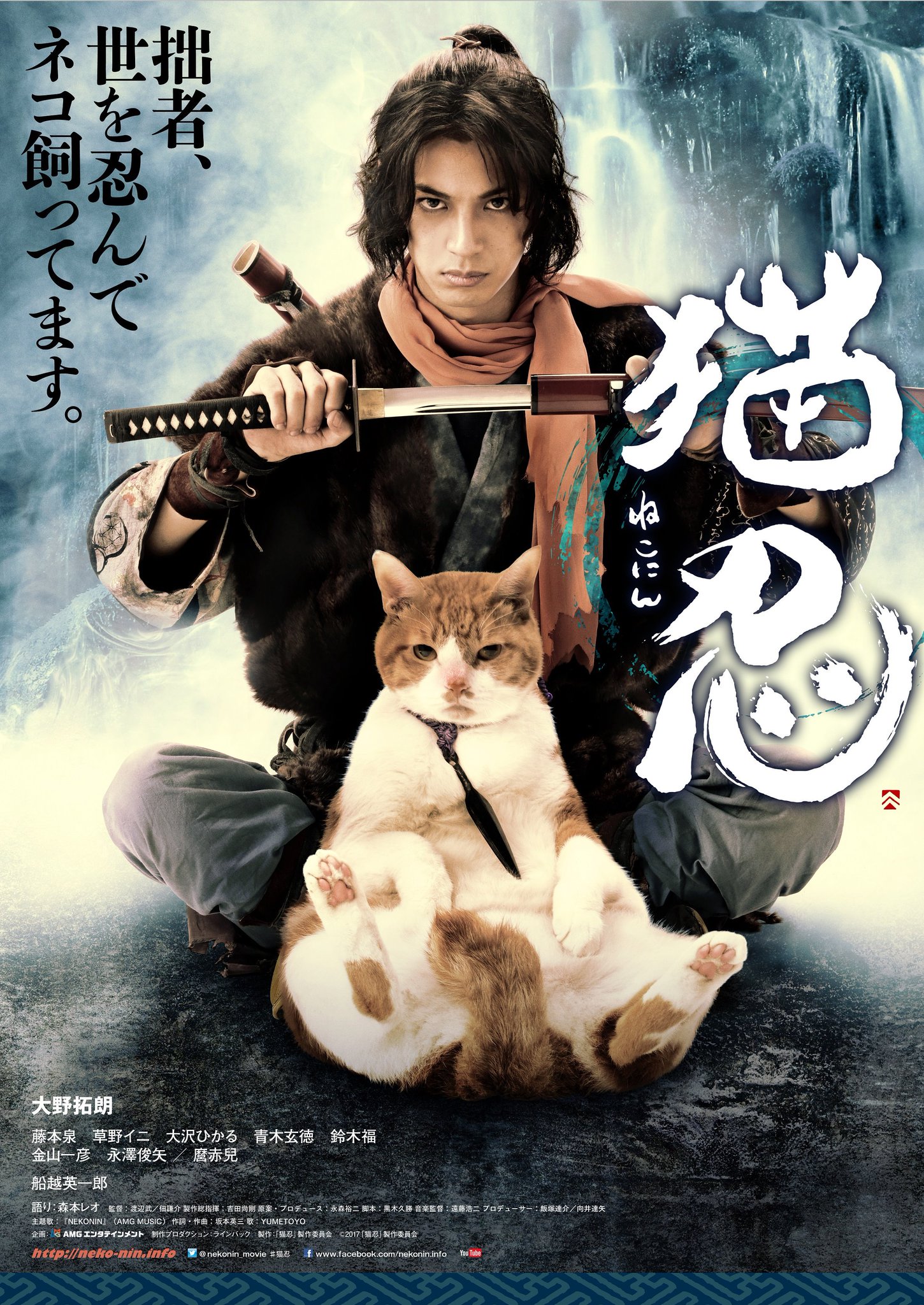 Нинздя и кот