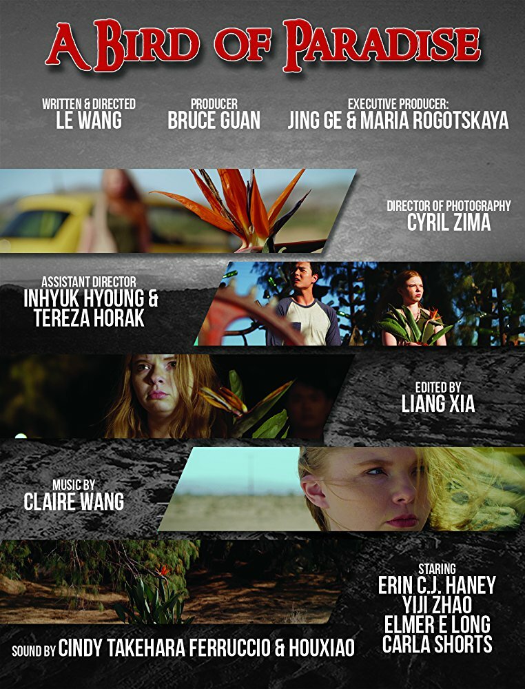 Постер к фильму A Bird of Paradise (2017)