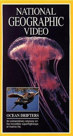 Jellies & Other Ocean Drifters