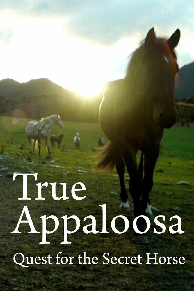 The Secret Horse: Quest for the True Appaloosa