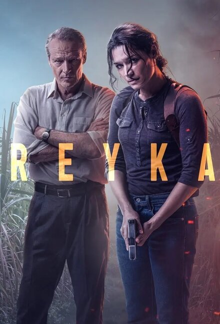 Сериал «Детектив Рэйка»