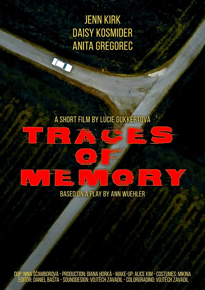 Traces of Memory