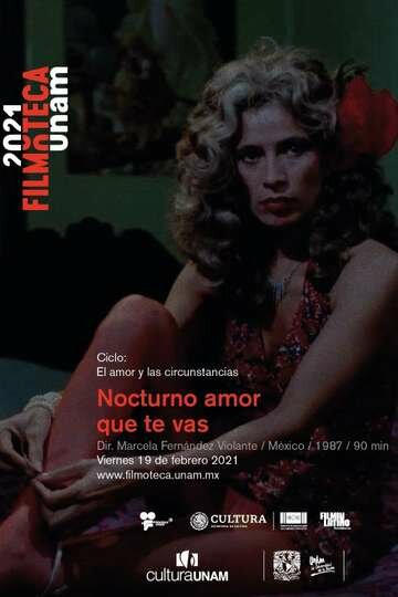 Ночная любовь, за которой ты идёшь