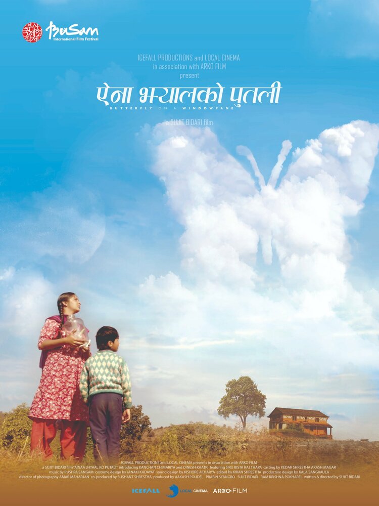 Бабочка на окне