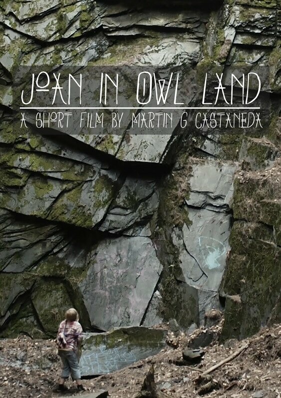 Joan in Owl Land