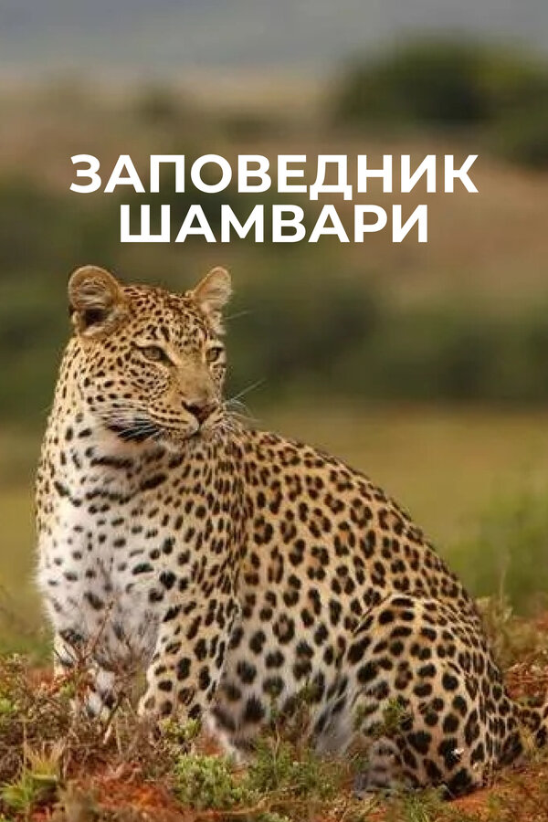Заповедник Шамвари (2018) 