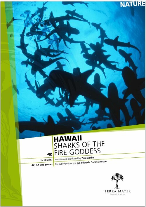 Sharks of the Fire Goddess