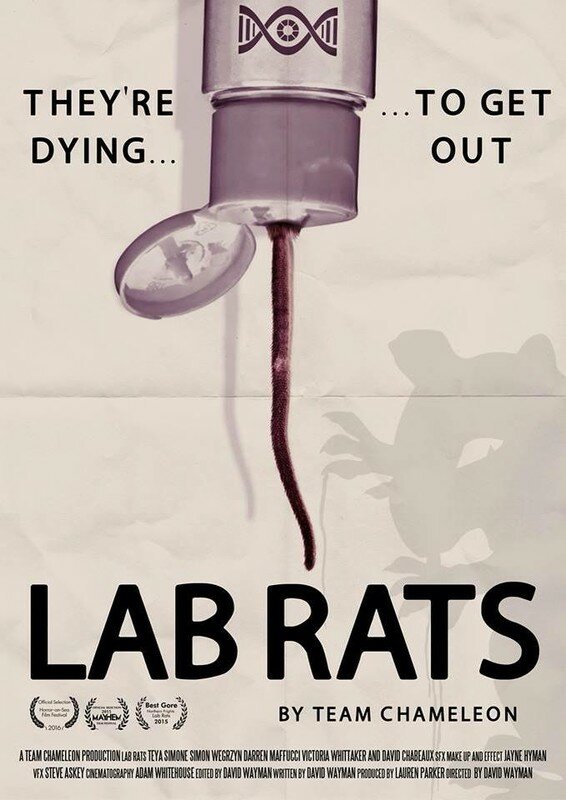 Lab Rats