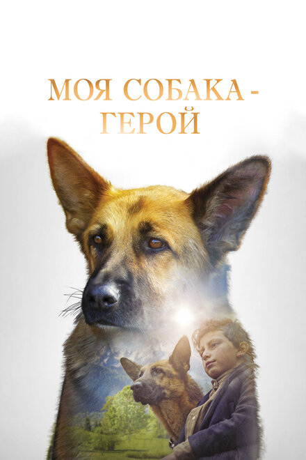 Моя собака — герой (2019)