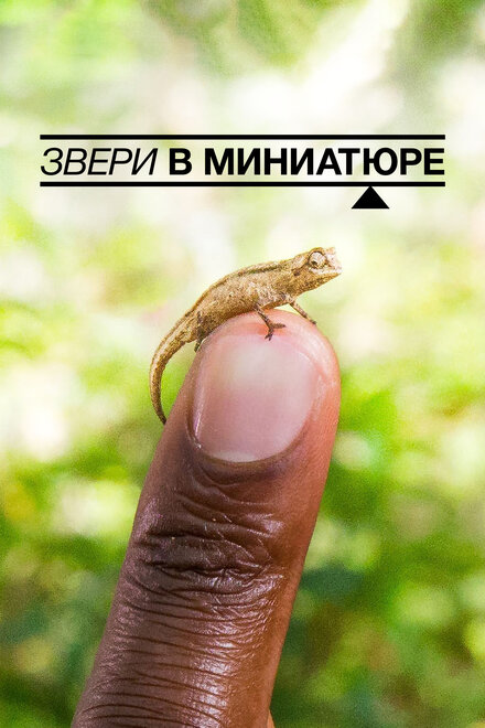 смотреть бесплатно онлайн в хорошем качестве Звери в миниатюре