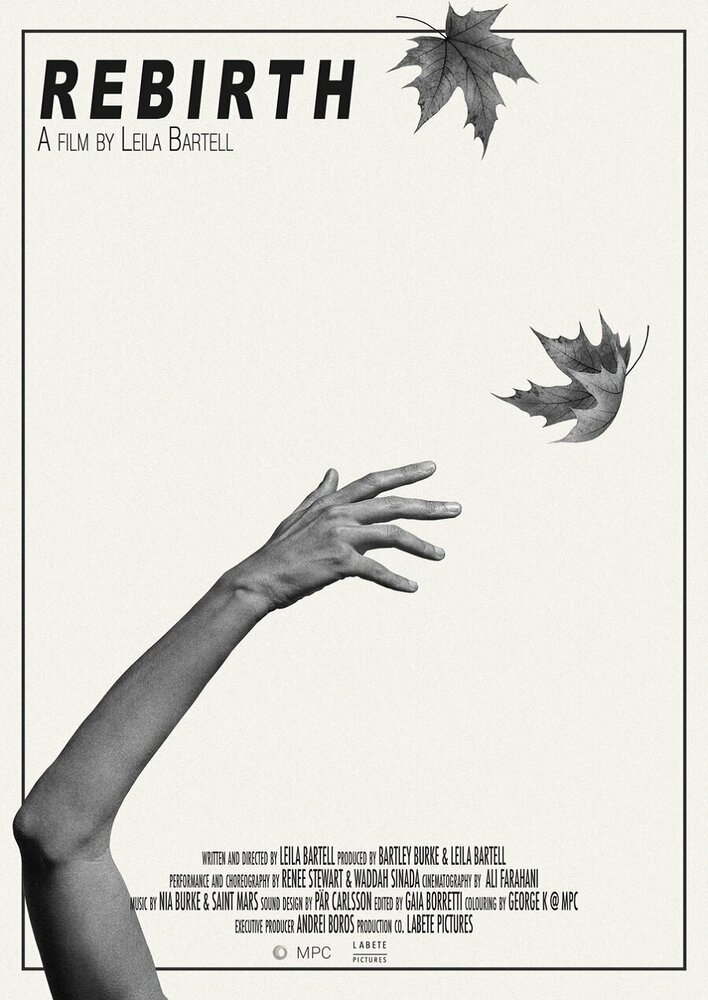 Rebirth (Working Title)