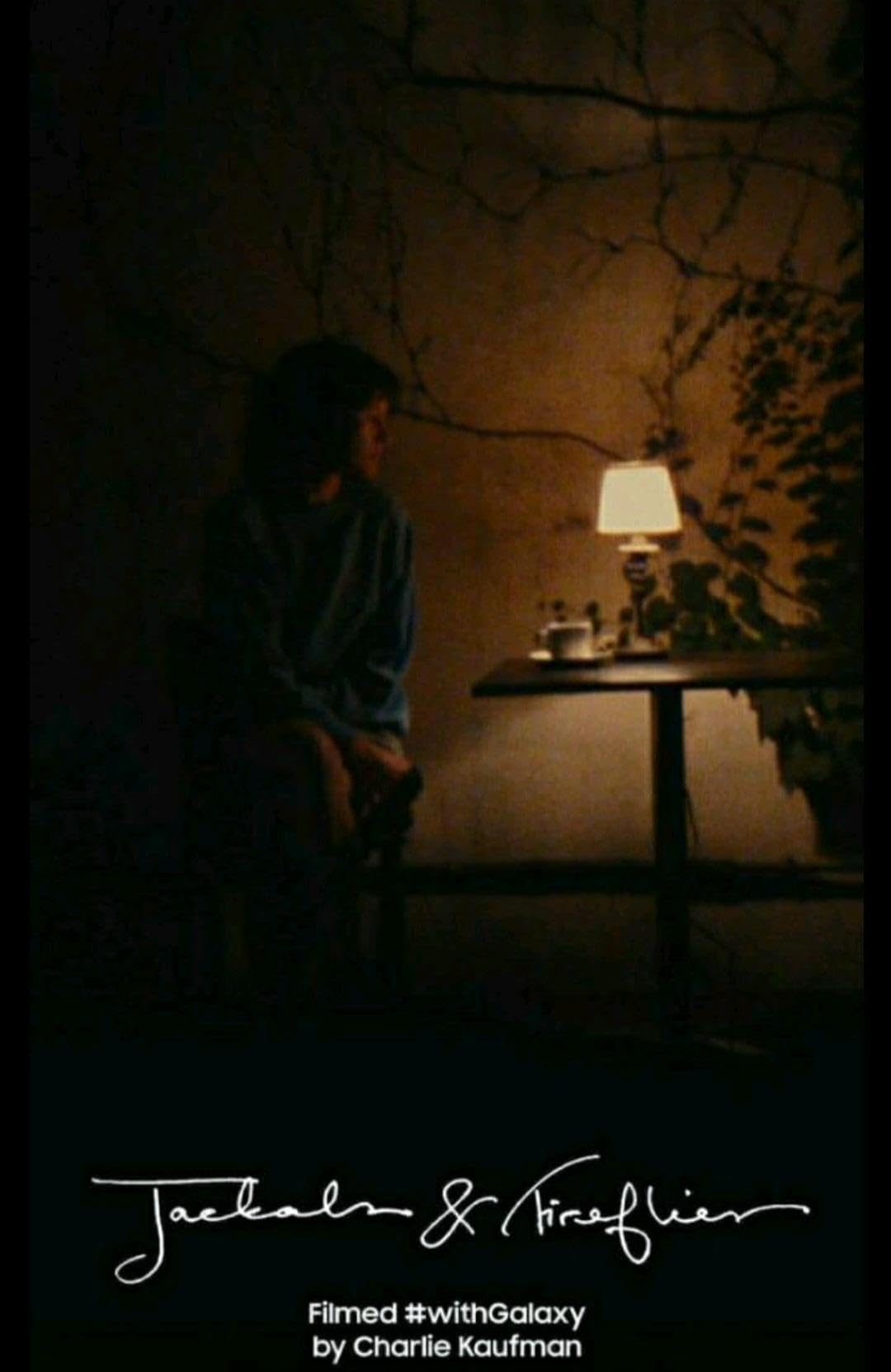 Jackals & Fireflies