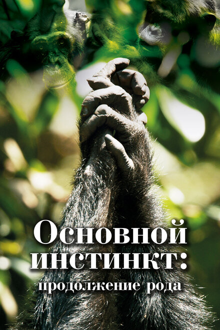  Основной инстинкт. Продолжение рода  смотреть онлайн