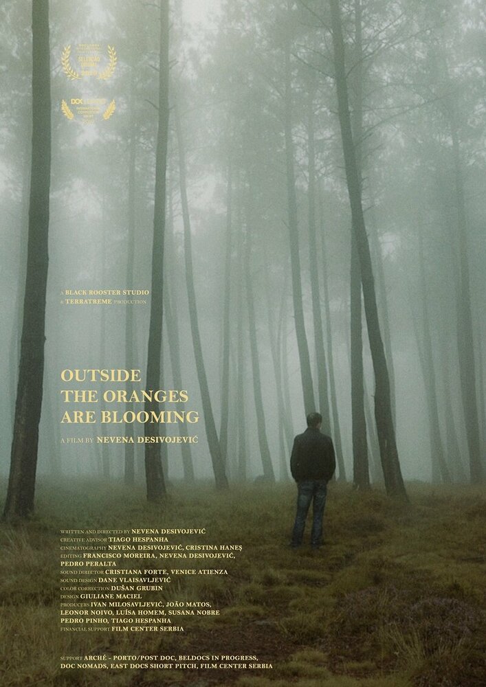 Outside Oranges Are Blooming