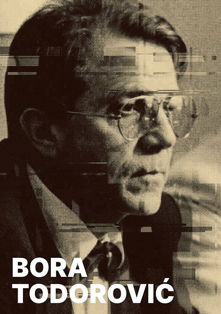 Bora Todorovic - filmska ostvarenja