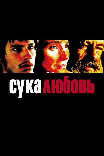 Фильм «Сука-любовь»